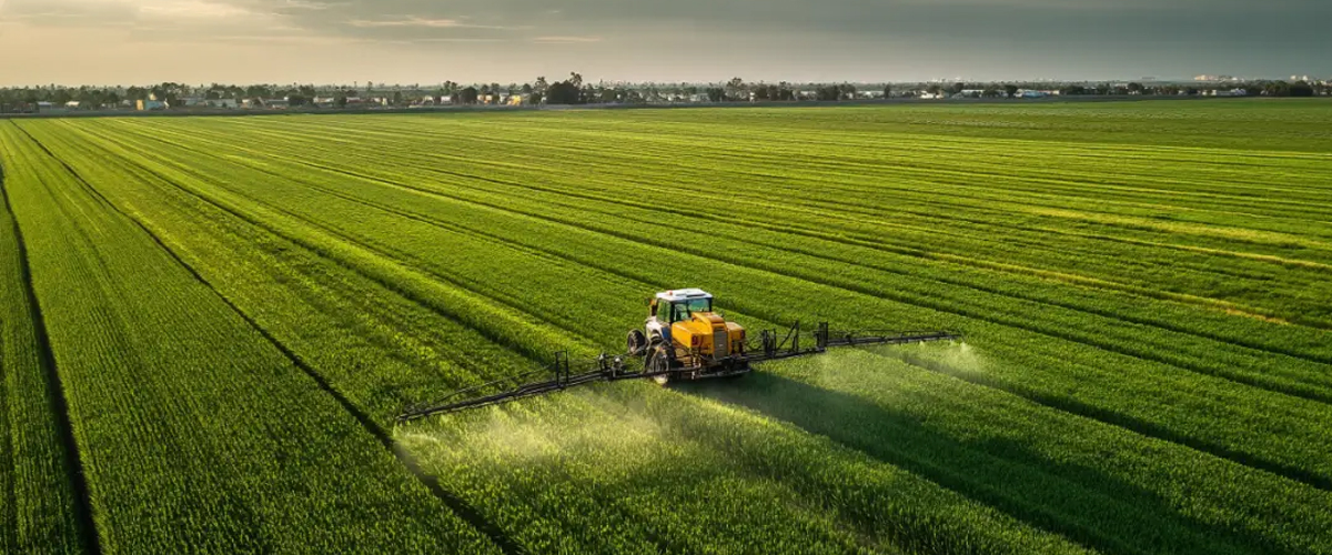 全球押注新疆农业：设施农业突围，解锁沙漠农业新可能！